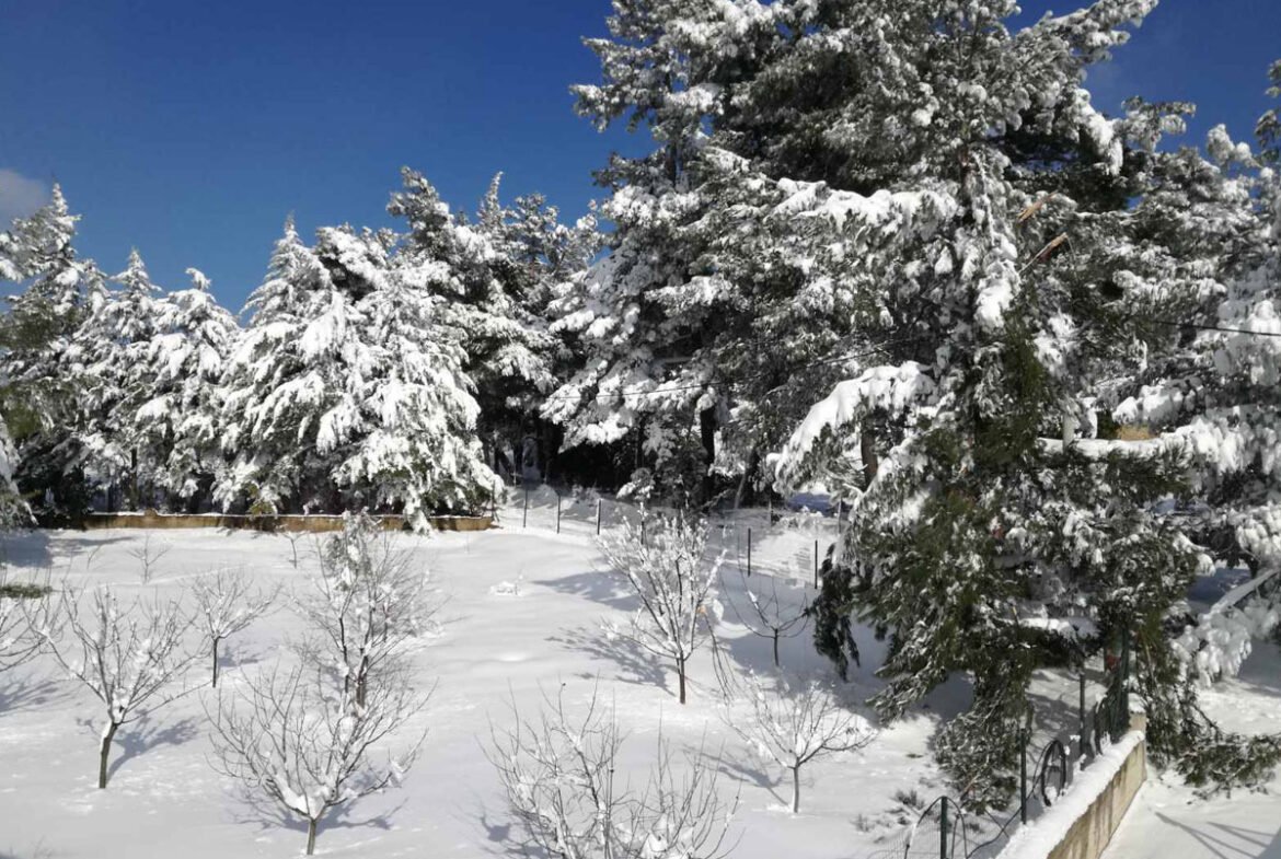 雪中​​的雅典附近豪华公寓