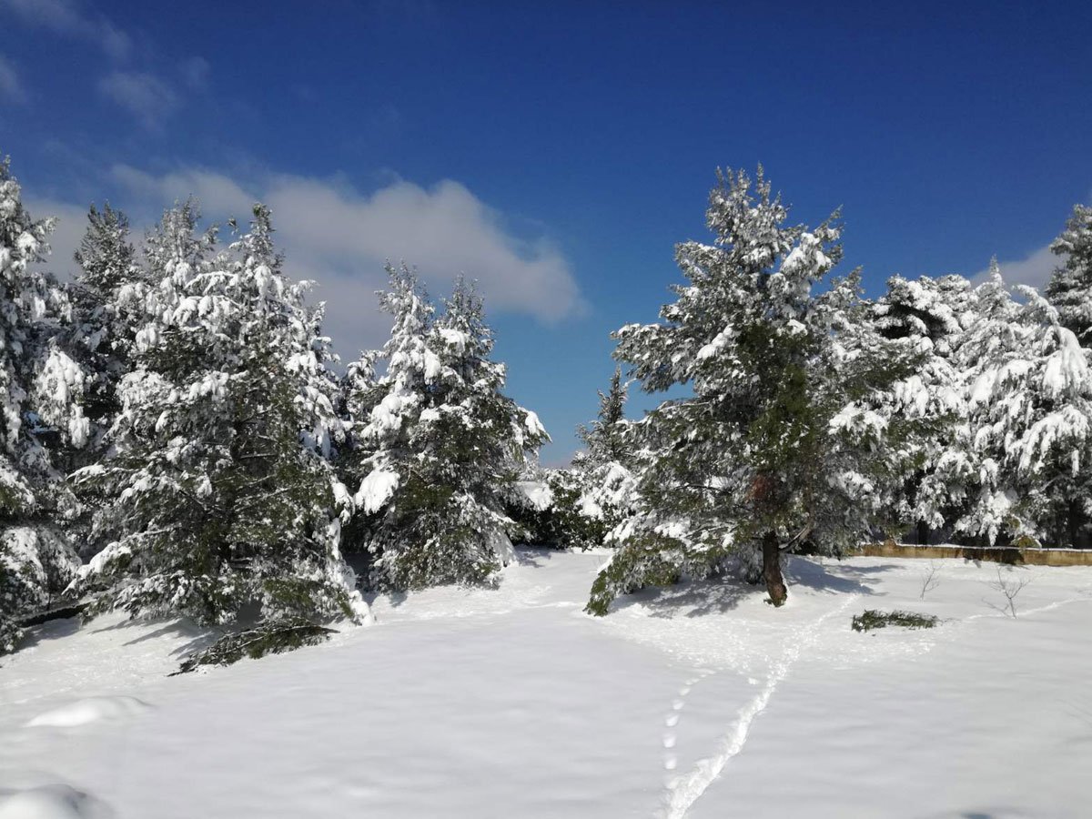 雅典附近雪中的木屋