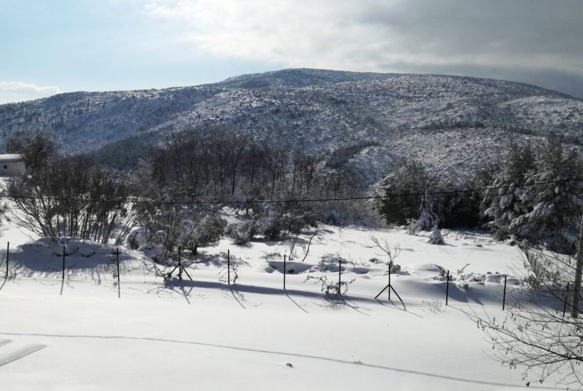 买房子旁边的雪地滑雪