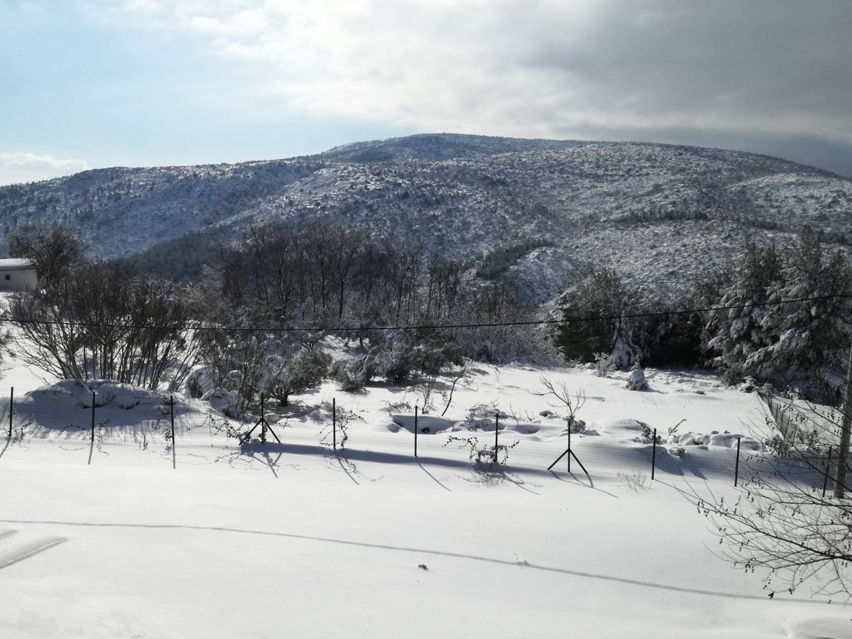 买房子旁边的雪地滑雪